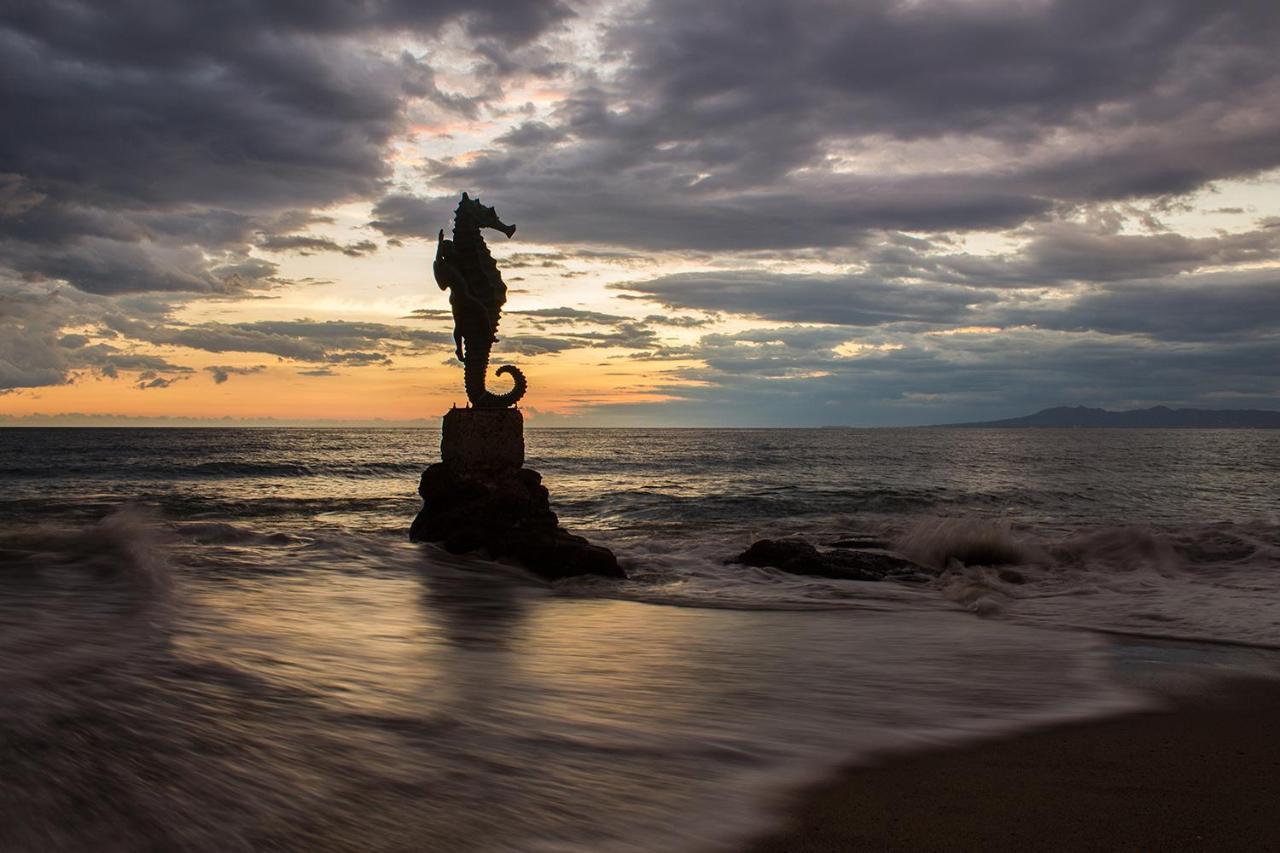 Departamento De Lujo, Puerto Vallarta. Mexico Exteriör bild